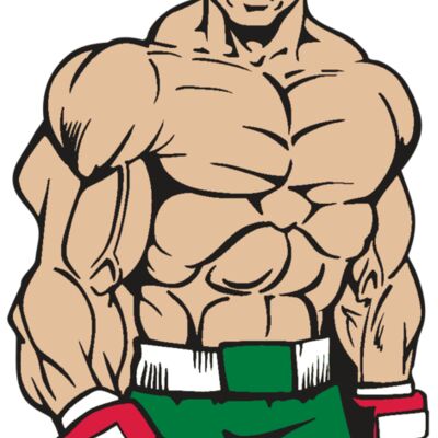 AR BOXING 12 RC Thumbnail