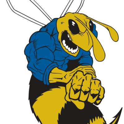 AR5 BEE 29 RQC Thumbnail