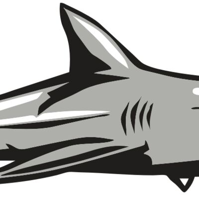 AR9 SHARK 01 RQC Thumbnail